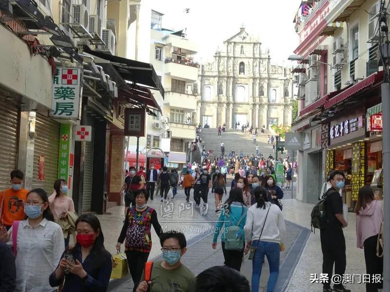 新澳门彩单双走势深度解析与预测，澳门彩走势深度解析与预测，单双走势揭秘
