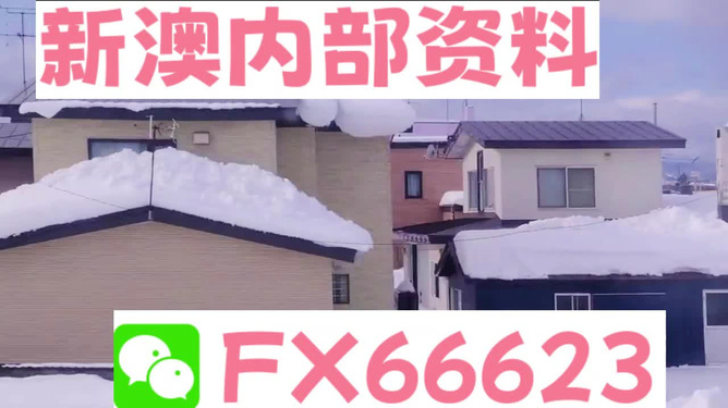 新澳一码中，探索数字世界的秘密与机遇，探索数字世界的秘密与机遇，新澳一码中的启示