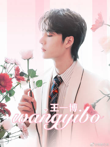 王中王一肖资料详解，揭开神秘面纱下的独特魅力——一肖特篇，王中王一肖资料详解，独特魅力的神秘面纱下的特篇——一肖揭秘