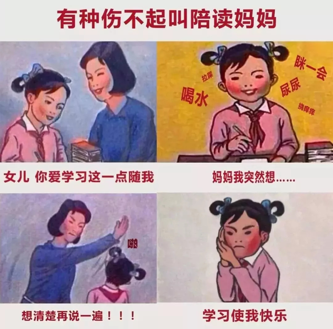 揭秘刘伯温预言中的奥秘，鷄飛狗跳与生肖之谜，刘伯温预言揭秘，生肖之谜与鷄飛狗跳的奥秘
