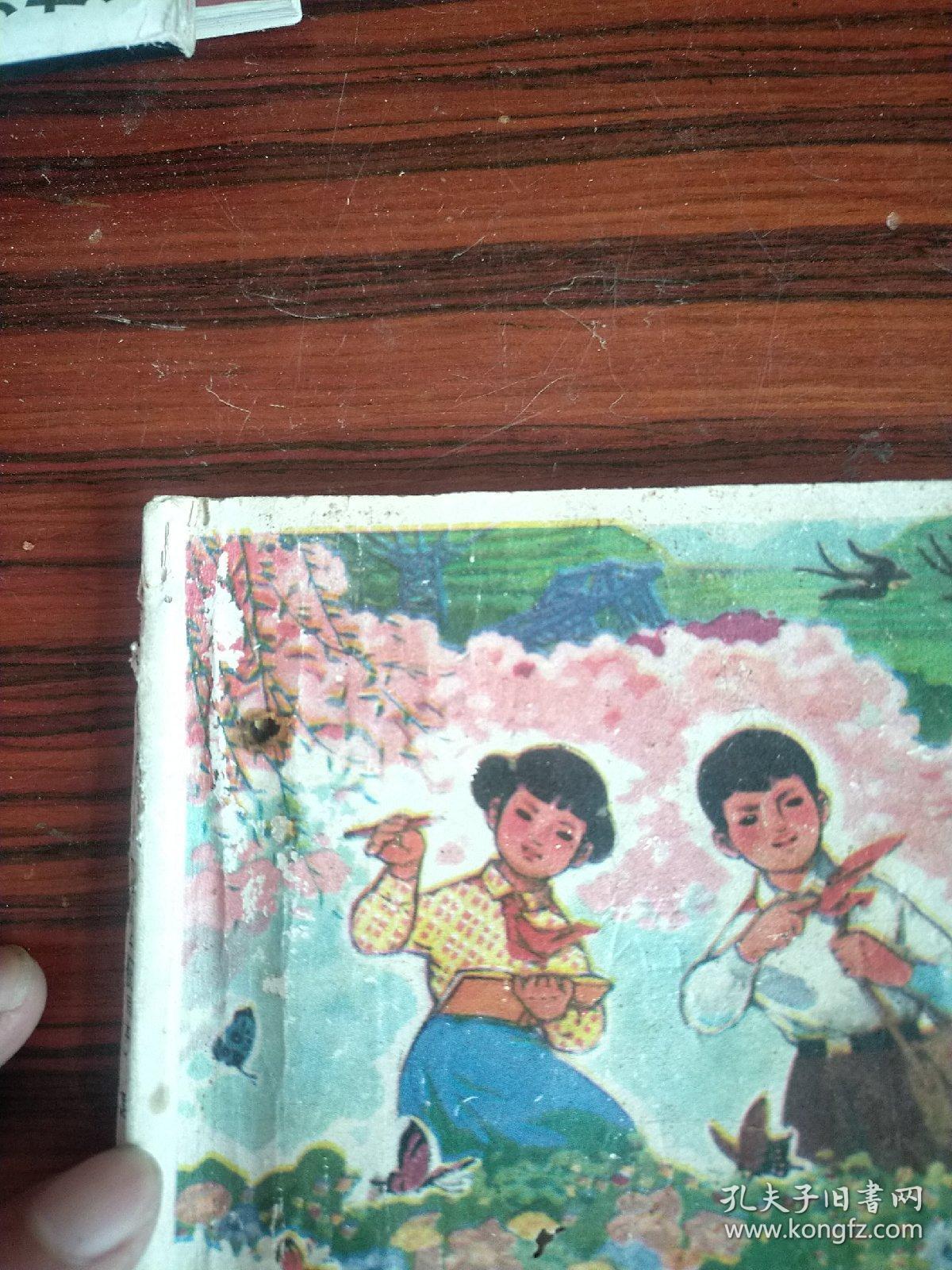 王中王78期指一生肖——揭秘背后的奥秘，揭秘生肖背后的奥秘，王中王78期指一生肖探秘