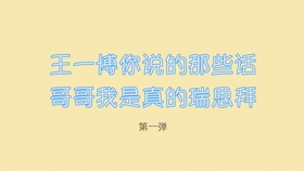 王中王一句解一肖王——探寻生肖奥秘与王者风范，探寻生肖奥秘与王者风范，王中王一句解一肖王