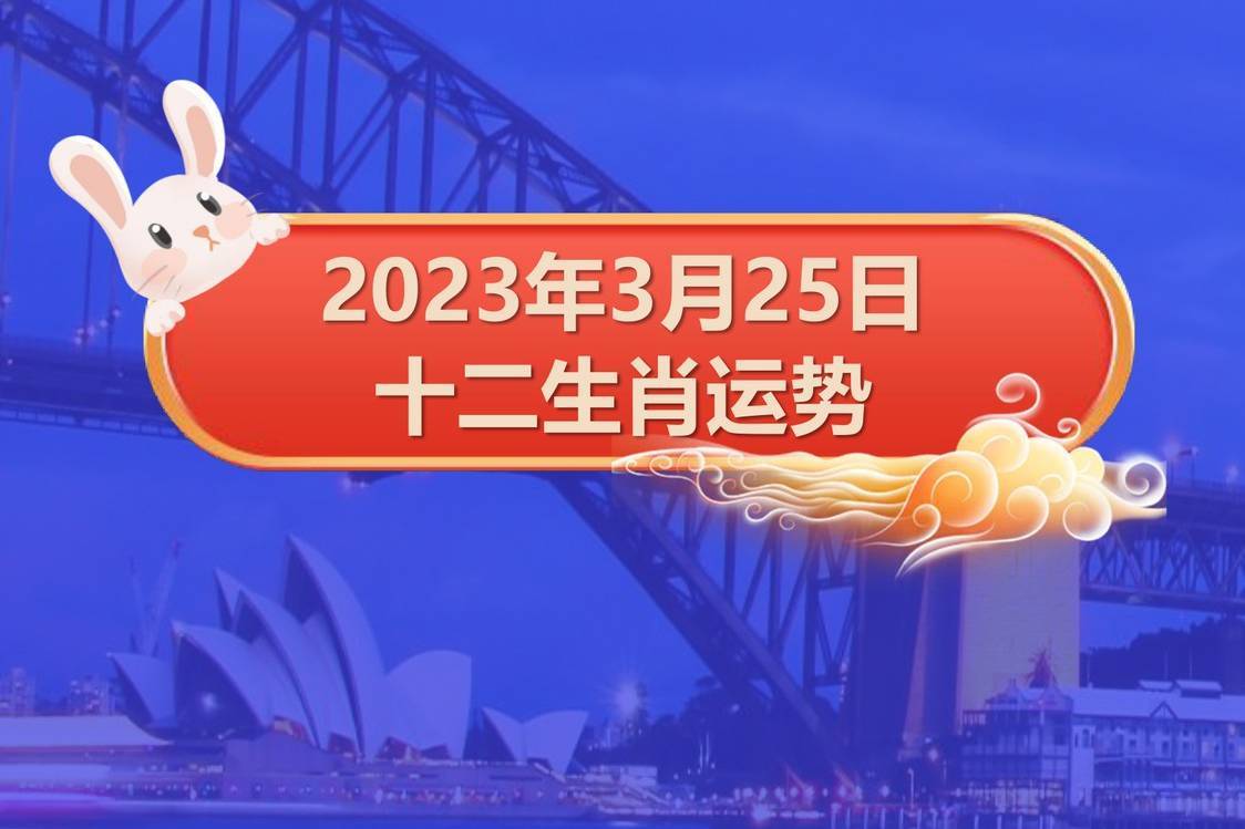 二肖二码，揭秘背后的秘密与SEO优化策略，揭秘二肖二码背后的秘密与SEO优化策略全解析