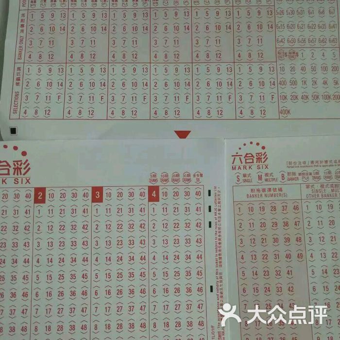 揭秘港马会内部资料，肖一码的独特视角，肖一码独家揭秘，港马会内部资料大揭秘