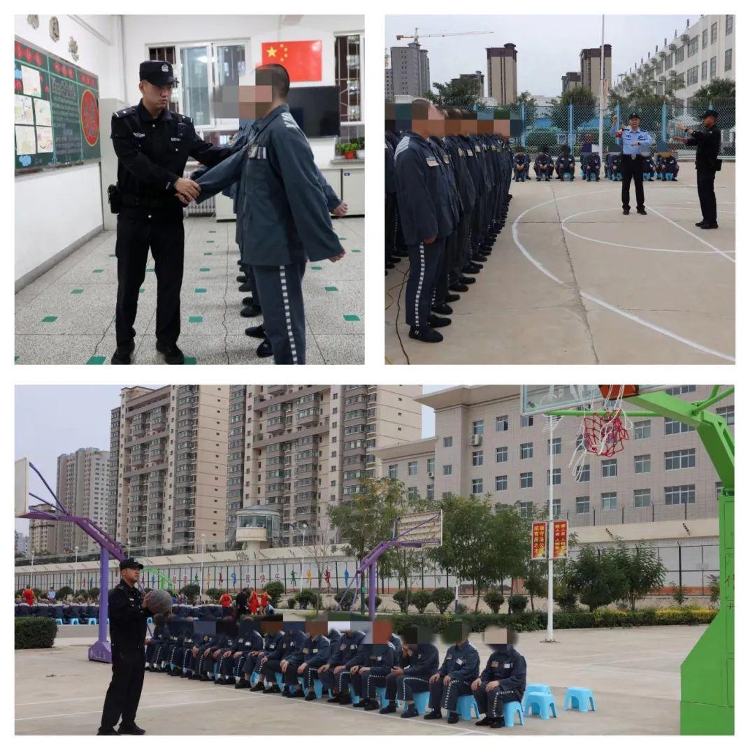 王中王97期指一生肖——深度解析与预测，王中王97期生肖深度解析与预测指南
