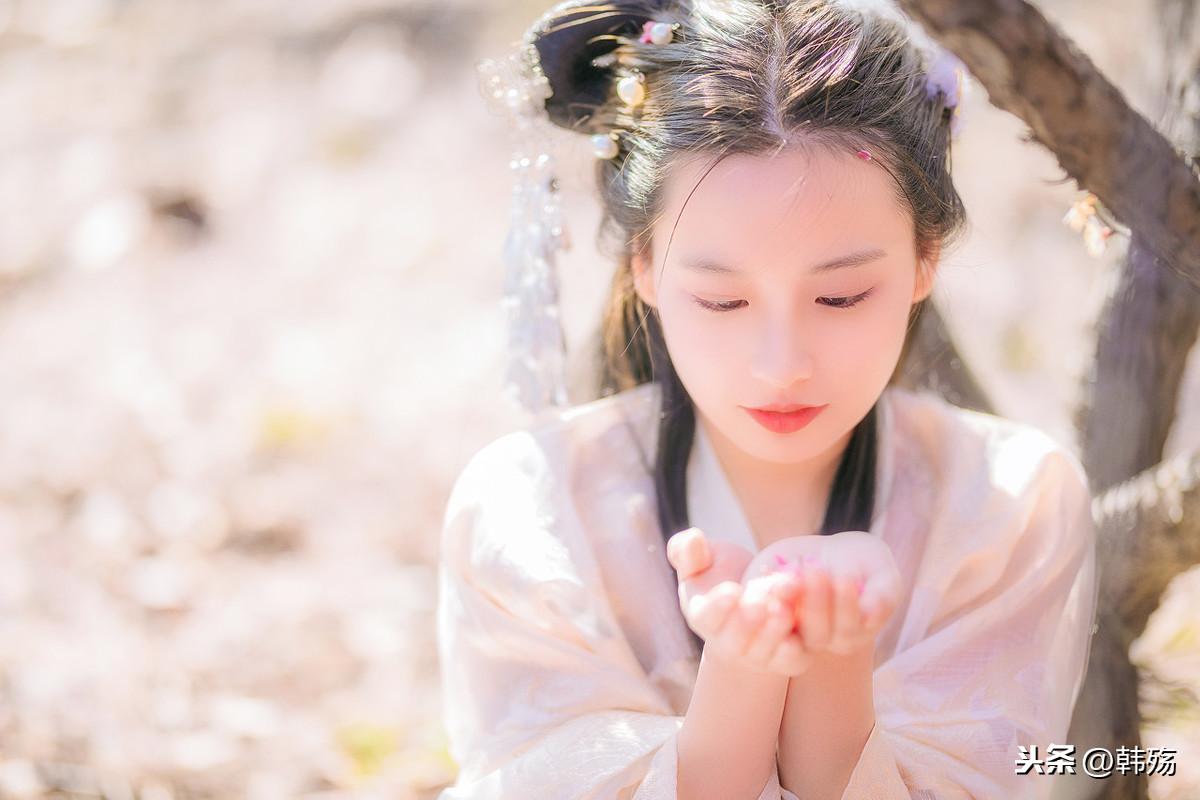 揭秘刘伯温四不像特一肖的神秘面纱，刘伯温四不像特一肖的神秘面纱揭晓