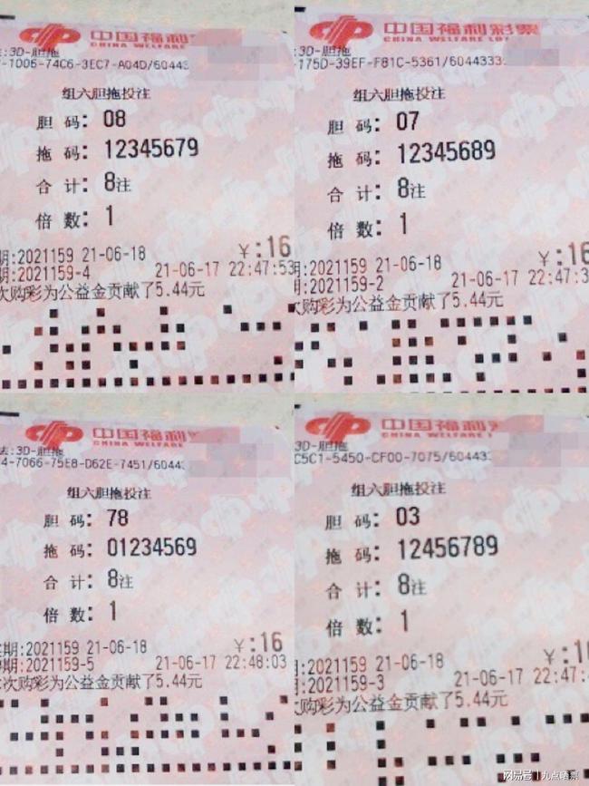 王中王精选发财一肖，揭秘生肖运势与财富之路，揭秘生肖运势与财富之路，王中王精选发财一肖解析