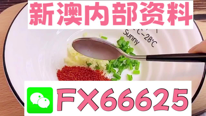 新澳全年免费资料大全——探索与获取指南，新澳全年免费资料大全，探索与获取终极指南