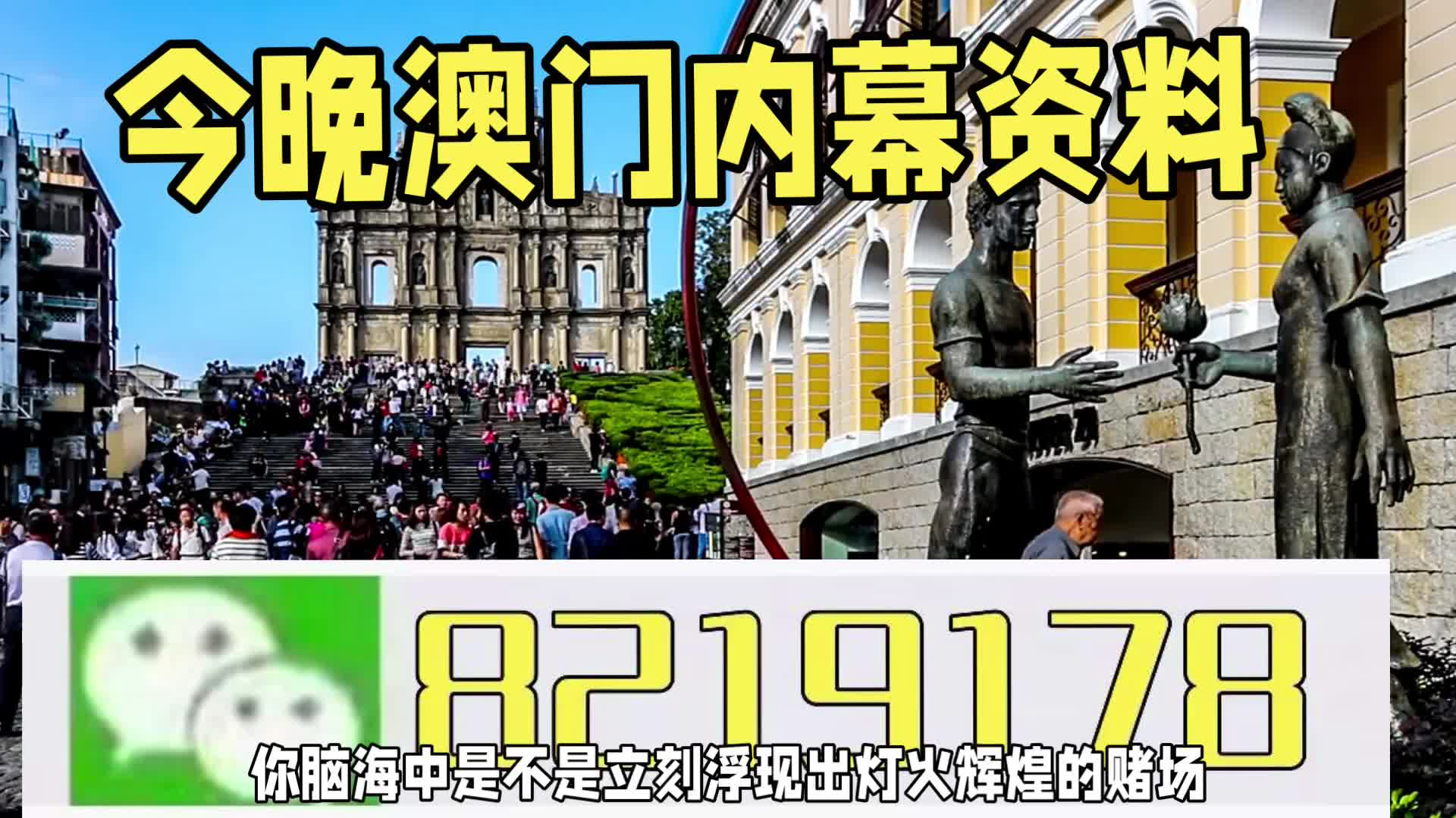 新澳门一肖一特一中，探索与解析，新澳门一肖一特一中，深度探索与解析