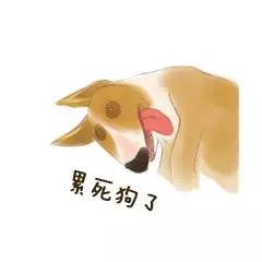 管家与十二生肖，探寻神秘文化中的独特魅力，管家与十二生肖，探寻神秘文化魅力