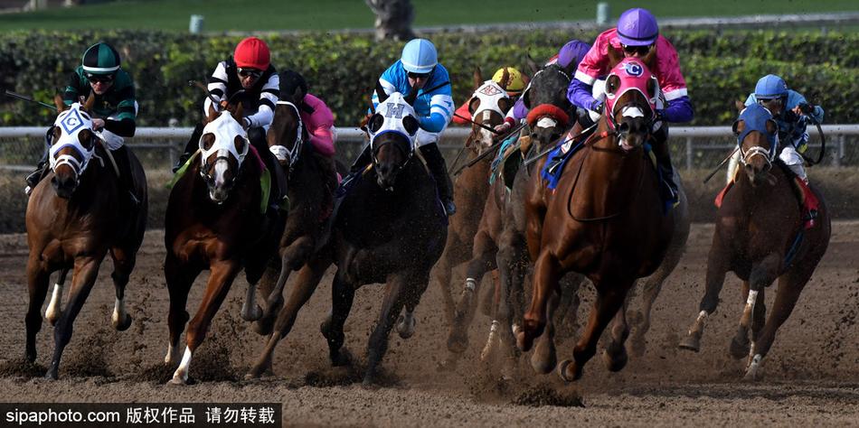 王中王新四不像一肖，揭秘背后的秘密与独特之处，揭秘王中王新四不像一肖背后的秘密与独特魅力