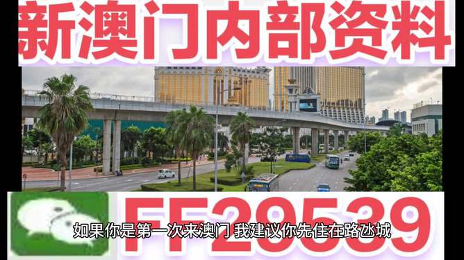 澳门今晚开奖结果号码是多少——揭秘彩票背后的秘密，澳门彩票开奖结果揭秘，探索号码背后的秘密