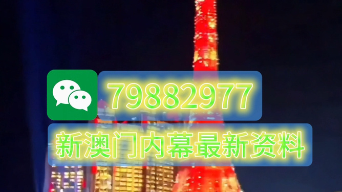 澳门今晚必开一肖一特，探索生肖彩票的魅力与预测，澳门生肖彩票探索，魅力揭秘与今晚预测一肖一特