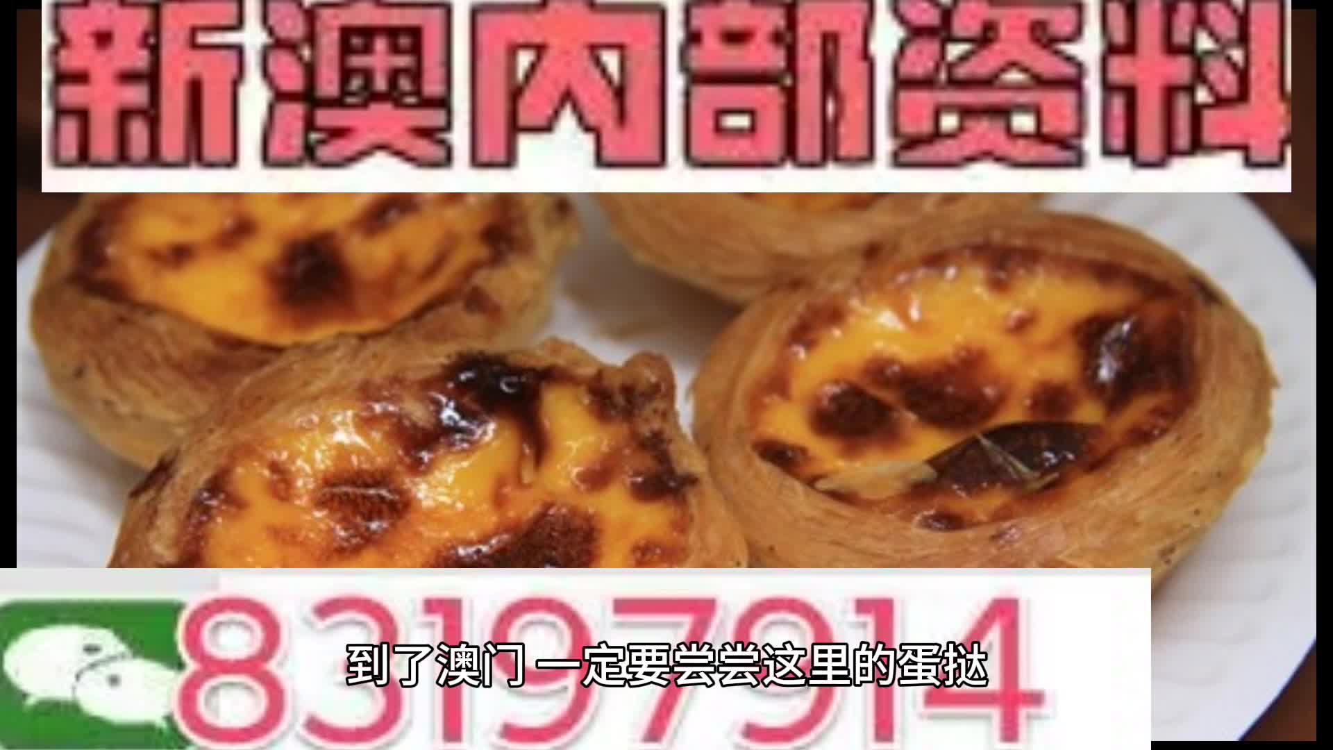 新澳门资料大全正版资料与奥利奥，探索与体验，澳门正版资料与奥利奥，探索与体验之旅