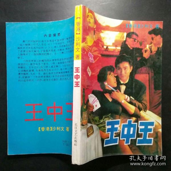 王中王资料一肖中天，深度解析与探索，王中王资料一肖中天，深度剖析与探索