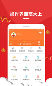王中王解平特一肖，深度解析与探索，王中王解平特一肖，深度剖析与探索