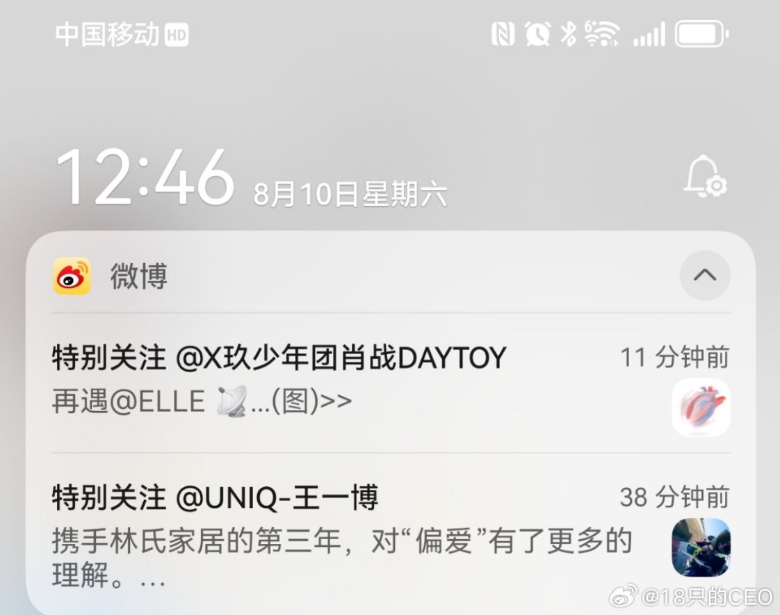 王中王与一肖一码，揭秘背后的奥秘，王中王与一肖一码，揭秘背后的神秘面纱