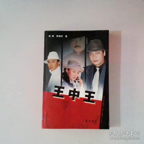 王中王中资料一肖中持，深度解析与探索，王中王中资料解析与探索，一肖中的深度探索