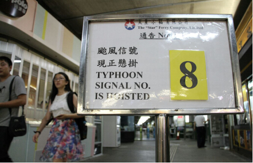 今晚香港买什么码特号，深度解析与策略建议，香港今晚特码深度解析与购彩策略建议