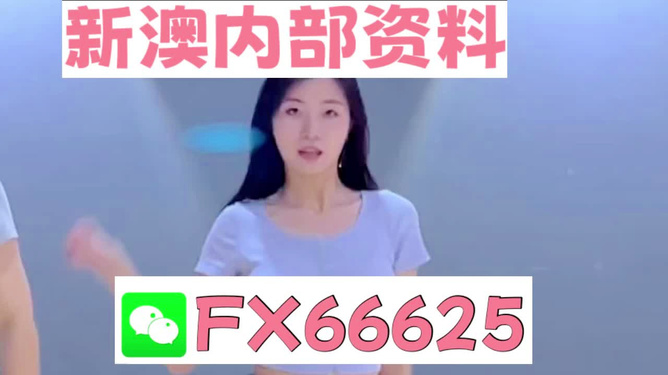新澳门精准资料大全，管家婆料解析与SEO优化策略，新澳门精准资料大全，管家婆料解析与SEO策略全解析