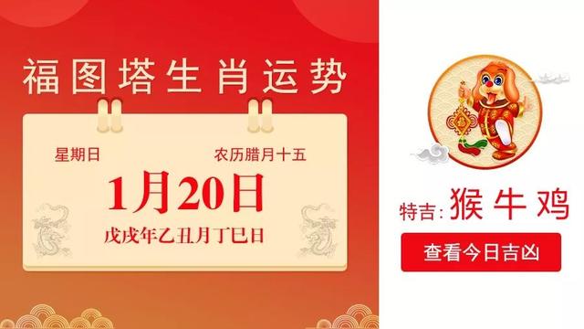 关于肖十二码与生肖的奥秘，探寻生肖中的肖十含义，肖十二码与生肖的奥秘，探寻生肖中的肖十之含义