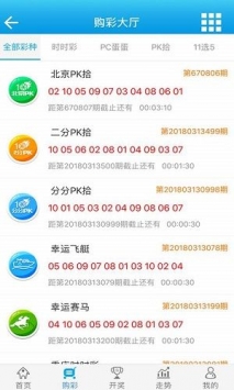 免费公开资料大全，探索无尽的知识海洋，免费公开资料大全，探索无限知识海洋的旅程