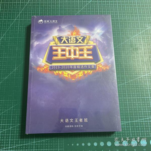 揭秘2019王中王资料，一肖中的秘密与v的力量，揭秘王中王资料，一肖中的秘密与V的力量之解析