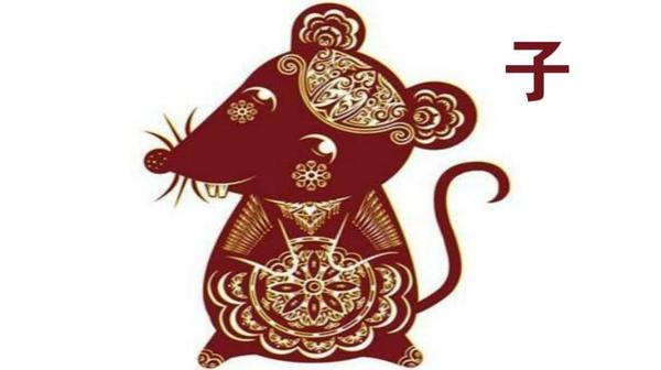 今晚一定出准确生肖预测，揭秘生肖运势的秘密，揭秘生肖运势秘密，今晚准确生肖预测揭晓！