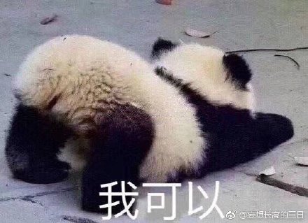 王中王四不像平特一肖，神秘现象与探索，王中王四不像平特一肖，神秘现象深度探索