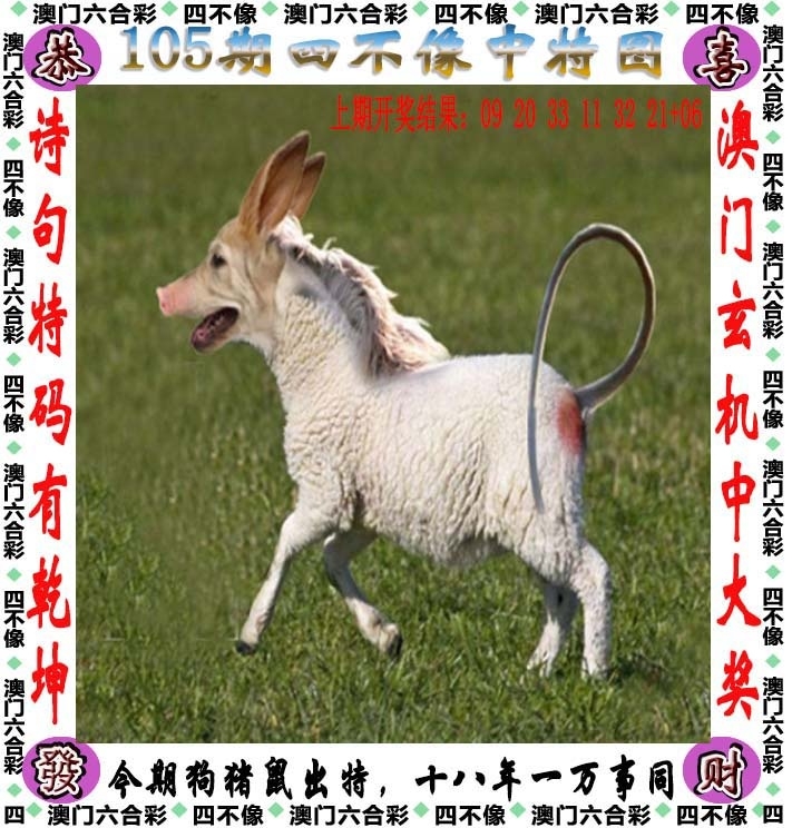 澳门精准四不像，探索未来趋势与预测（SEO优化文章），澳门精准四不像未来趋势探索与预测（SEO优化文章）