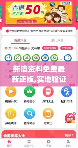 2025新澳正版资料精准解析，2025新澳正版资料精准解析手册