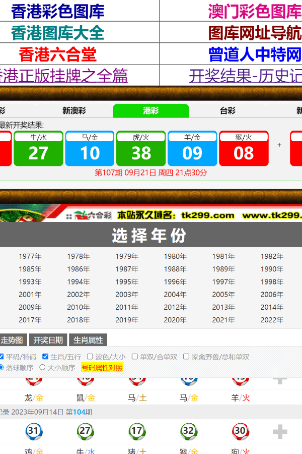 揭秘香港王中王，探寻一肖中特之奥秘，揭秘香港王中王，一肖中特奥秘探寻
