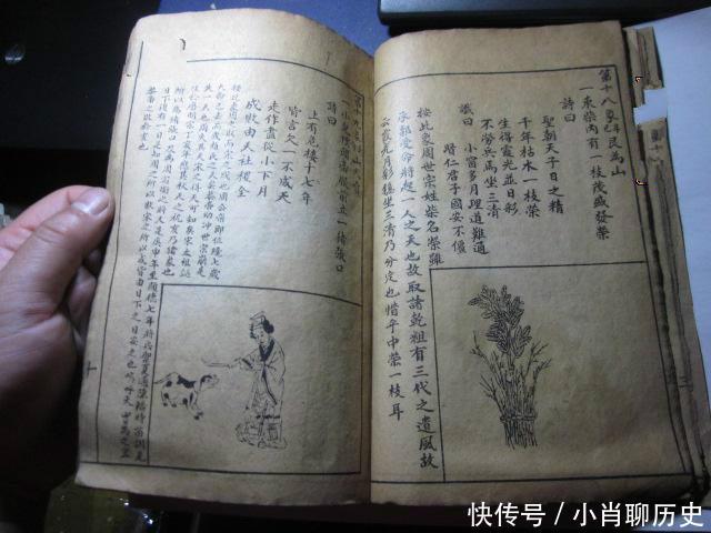 刘伯温必中一肖神算——揭秘传奇预测之术，刘伯温传奇预测术，揭秘必中一肖神算之谜