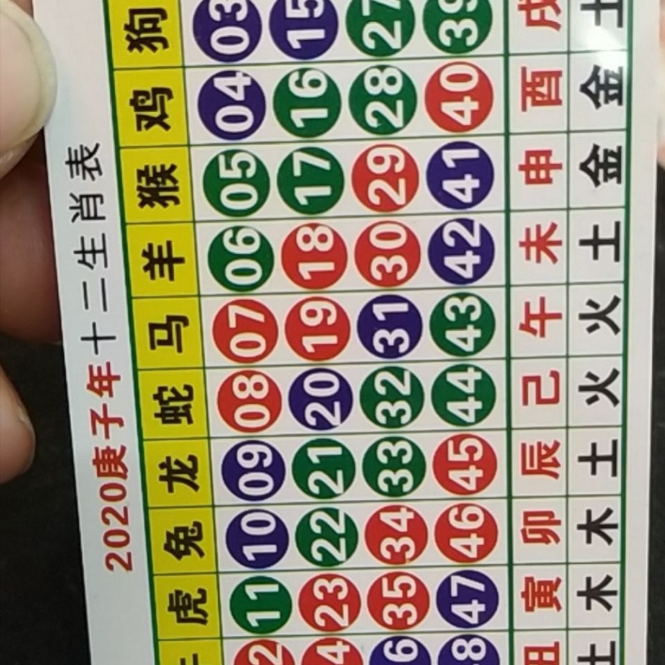 香港十二生肖码表图片2020，全面解读与图片展示，香港十二生肖码表图片大全 2020年全面解读与展示
