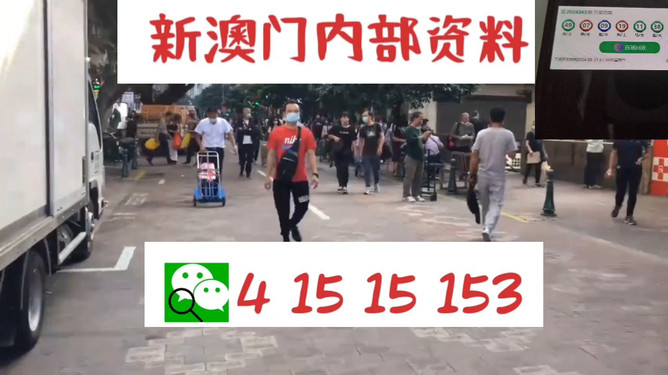 澳门管家婆，揭秘一种独特的文化现象与娱乐体验，澳门管家婆，文化现象与娱乐体验的揭秘