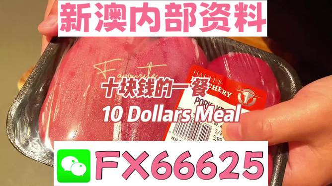 新澳最精准正最精准——探索精准旅游的新境界，新澳精准旅游，探索旅游新境界的极致精准体验