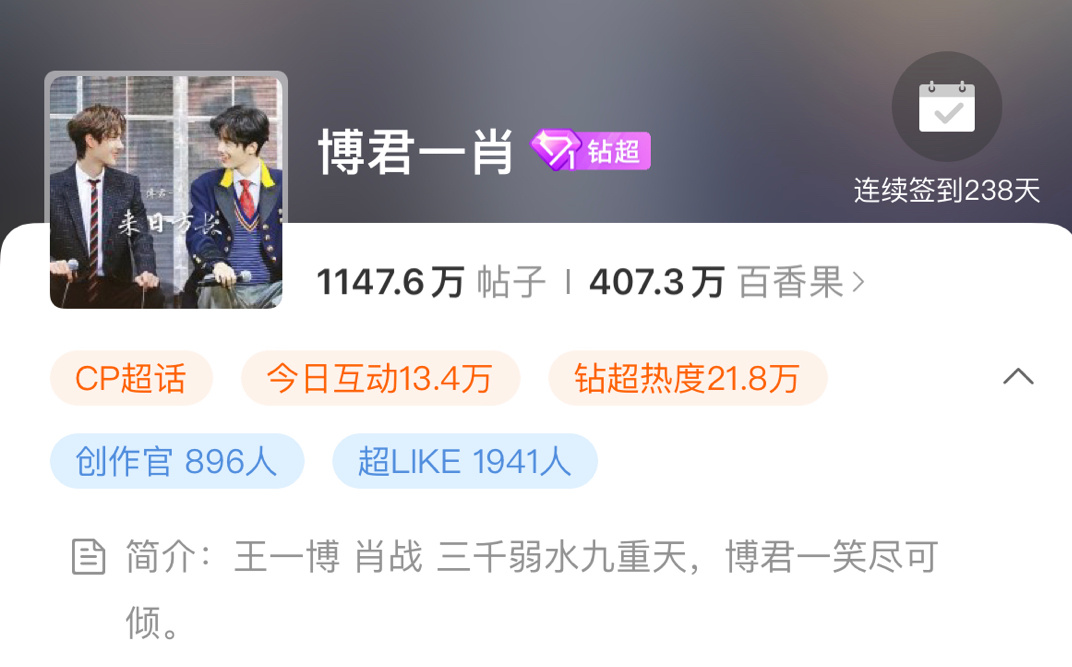 王中王一肖资料中特肖，深度解析与SEO优化文章，王中王一肖资料深度解析与SEO优化策略探讨