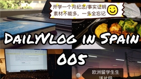 王中王04期指一生肖，揭秘背后的秘密与生肖运势分析，揭秘生肖运势背后的秘密，王中王生肖分析第04期揭晓一生肖运势分析