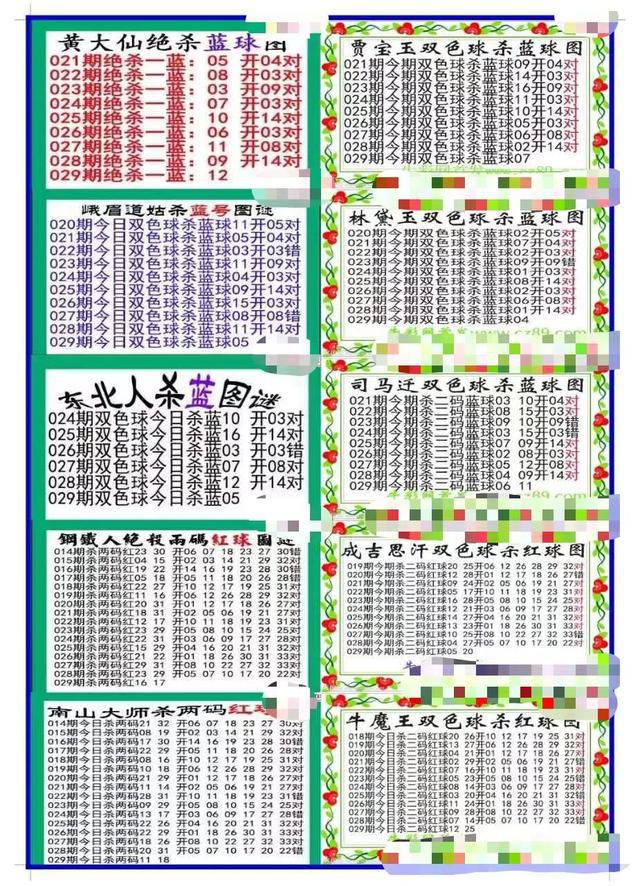 揭秘029期王中王平特一肖，背后的故事与秘密，揭秘，王中王平特一肖背后的故事与秘密（第029期）