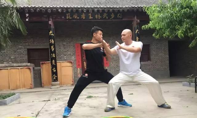 武林王中王打一生肖——深度解析与探索，武林王中王与生肖之谜，深度解析与探索之旅
