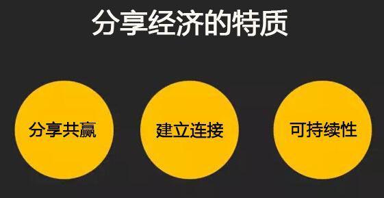 一码爆持，揭秘背后的秘密与策略，揭秘一码爆持背后的秘密与策略之道