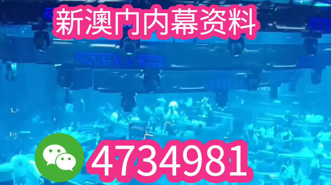 揭秘澳门未来，探索新澳门今晚开奖趋势与预测（XXXX年），澳门未来揭秘，新开奖趋势预测与探索（XXXX年）