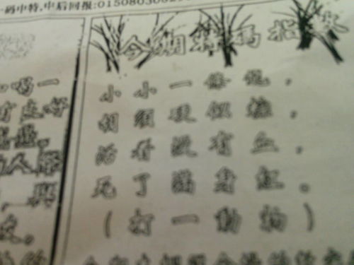 刘伯温特一肖王中王，传奇人物与生肖之王的神秘结合，刘伯温生肖传奇，传奇人物与生肖之王的神秘交融