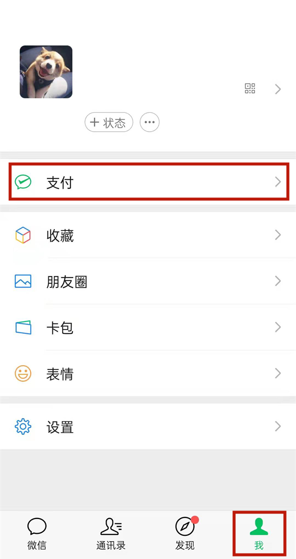 关于内部四肖四码的研究与探索，揭示背后的秘密与策略，内部四肖四码研究与探索，揭秘秘密策略与真相