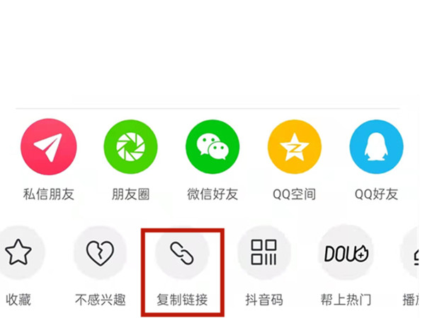 一肖一肖免费中特王中王——揭秘彩票预测背后的秘密，揭秘彩票预测真相，一肖一肖免费中特王中王探秘