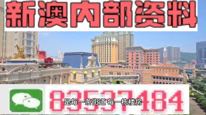 新澳门最精准龙门，探索真实与精准的奥秘