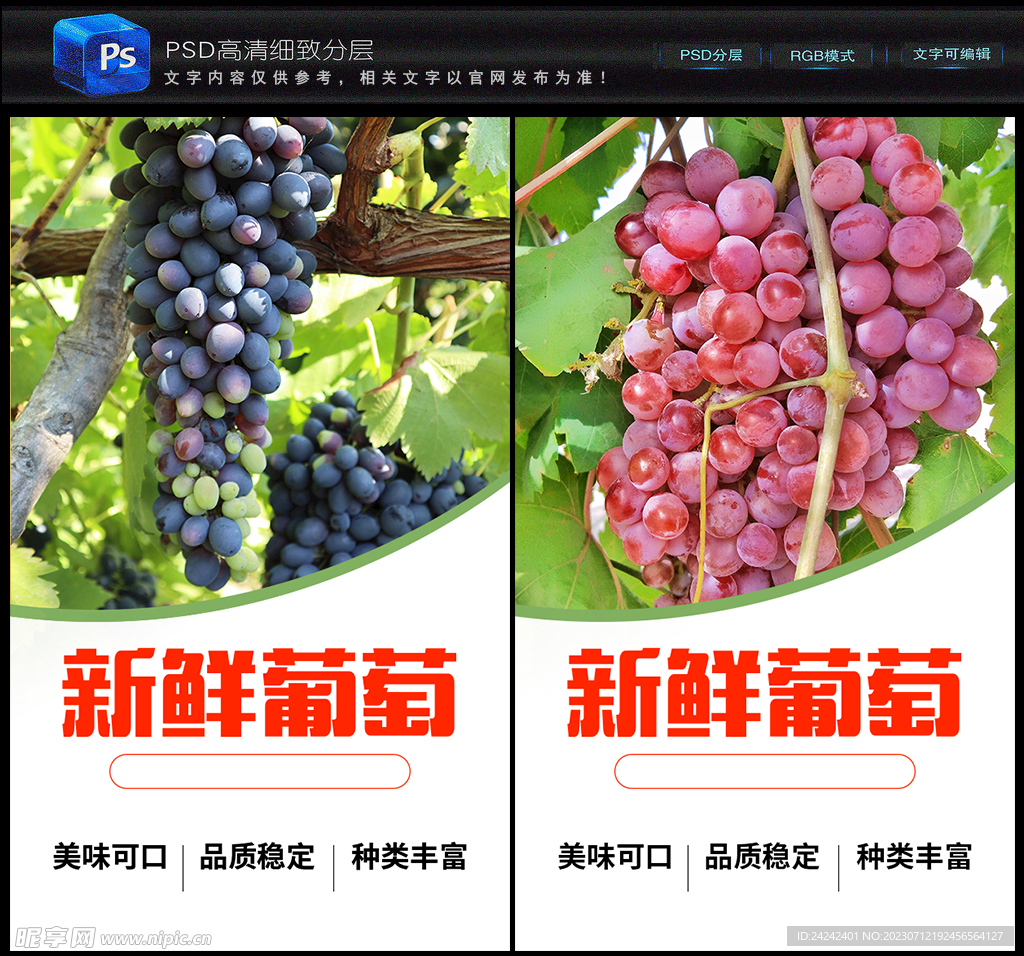 王中王葡萄新平特一肖，探寻葡萄产业的独特魅力与未来前景，葡萄产业独特魅力与未来前景探索，王中王葡萄新平特一肖的探寻之旅