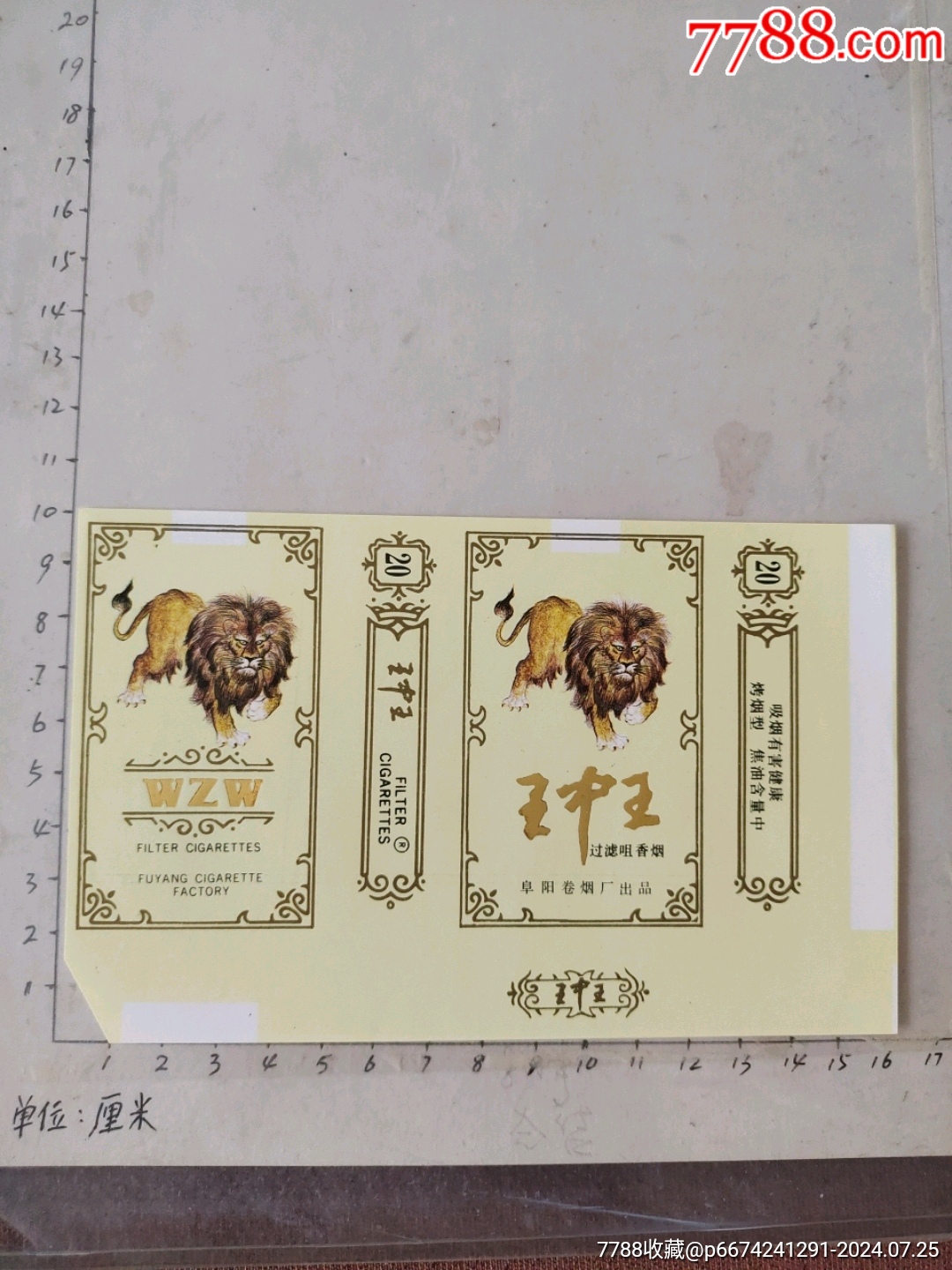 王中王一肖中特王中王，探寻背后的秘密与魅力，探寻王中王一肖中特王中王背后的秘密与独特魅力
