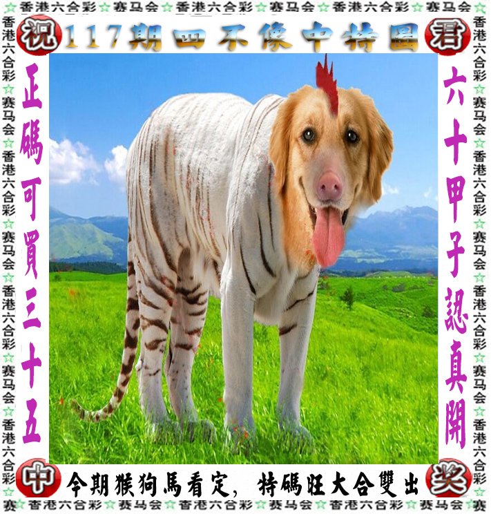 揭秘王中王四不像一肖玄机——探寻背后的奥秘与玄机，揭秘王中王四不像一肖玄机背后的秘密与奥秘