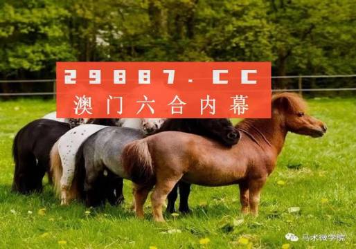 一马中特免费资料公开，深度解析与探索，一马中特免费资料公开，深度解析与探索之旅